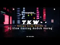 Download Lagu DJ TKW‼️Tenaga Kerja Wanita - Dj Slow Santuy Bass Rodok Horeg .