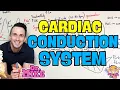 Cardiac Conduction System