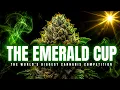 The Emerald Cup The Contest That Crowned America s Best Weed