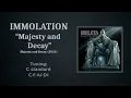 Immolation - Majesty and Decay (bass cover with tab)