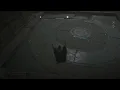 Assassin s Creed valhalla - Eden ring station unlocking scene