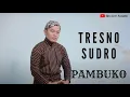 Lagu TRESNO SUDRO - PAMBUKO | COVER BY SIHO LIVE ACOUSTIC