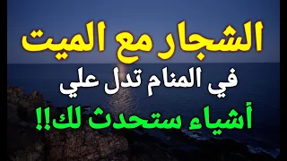 تفسير رؤية الشجار مع الميت في المنام تدل علي أشياء ستحدث لك   دندنها