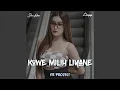 Download Lagu DJ KOWE MILIH LIYANE