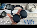 SONY XM5 MIDNIGHT BLUE UNBOXING FIRST LOOK