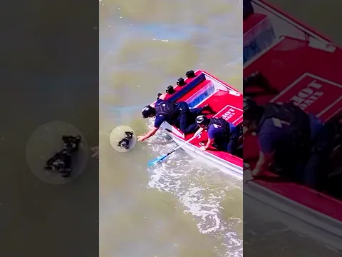 Puppy Rescue Ends With Emotional Reunion🥹❤️
