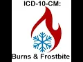 ICD-10-CM Burns and Frostbite