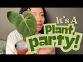 I ve Snagged Some AWESOME Anthuriums Alocasia The Green Escape Haul