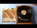 Absolute Beginner feat. Samy Deluxe - Füchse (on vinyl)