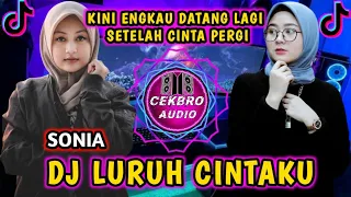 Download DJ LURUH CINTAKU (SONIA) REMIX JOGET FULL BASS VIRAL TIKTOK TERBARU 2022 MP3