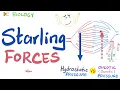 Starling Forces - made easy