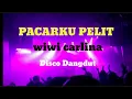 Download Lagu Pacarku pelit - Wiwi carlina ( disco dangdut )