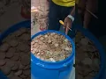Download Lagu Juntou moedas de 1 REAL por 20 anos e olha o resultado!!! #numismática