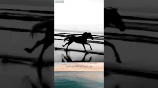 وبعدهالك مالك ومالنا 