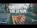 Melinda Val di Non: la fioritura dei nostri meli