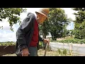 Download Lagu 106 ans, avec sa pioche au potager ! Le doyen du Gers, un centenaire en grande forme...