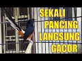 Download Lagu PANCINGAN MURAI BATU GACOR BONGKAR MATERI , NAIKKAN EMOSI MURAI BATU MALAS BUNYI AGAR GACOR
