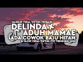 Download Lagu DJ DELINDA X ADUH MAMAE ADA COWOK BAJU HITAM SLOW BASS VIRAL FYP TIKTOK 2025 