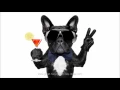 Download Lagu A Funny Song for Your Birthday   Happy Birthday