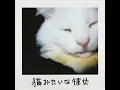 猫みたいな彼女 - demo - Leina