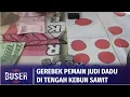 Main Judi di Kebun Sawit, Para Pelaku Lari Tunggang Langgang saat Digerebek | Buser