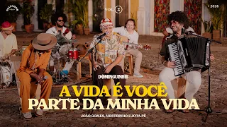 A VIDA É VOCÊ / PARTE DA MINHA VIDA - João Gomes, Mestrinho e Jota.pê (Dominguinho Vol.2)