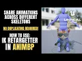 Share Animations with Different Skeletons How to use IK Retargeter in Animation Blueprint UE5