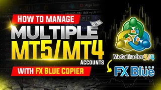 Copy Trades to All Your Accounts in One Click FX Blue Setup Guide