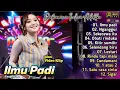 Download Lagu ILMU PADI - DIFARINA INDRA FULL ALBUM | ADELLA MUSIC DANGDUT KOPLO TERBARU | SIGAR,SELENDANG BIRU MP3
