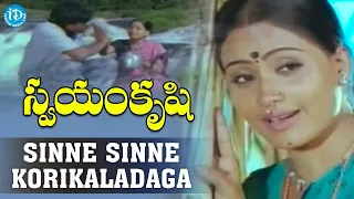 sinne sinne korikaladaga video song swayam krushi chiranjeevi vijayashanti k viswanath idream
