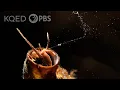 This Snail Goes Fishing With a Net Made of Slime Deep Look