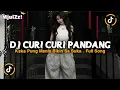 Lagu DJ CURI CURI PANDANG - KAKA PUNG MANIS BIKIN SA SUKA STYLE KONDANG VIRAL TIKTOK TERBARU 2026 FULL 
