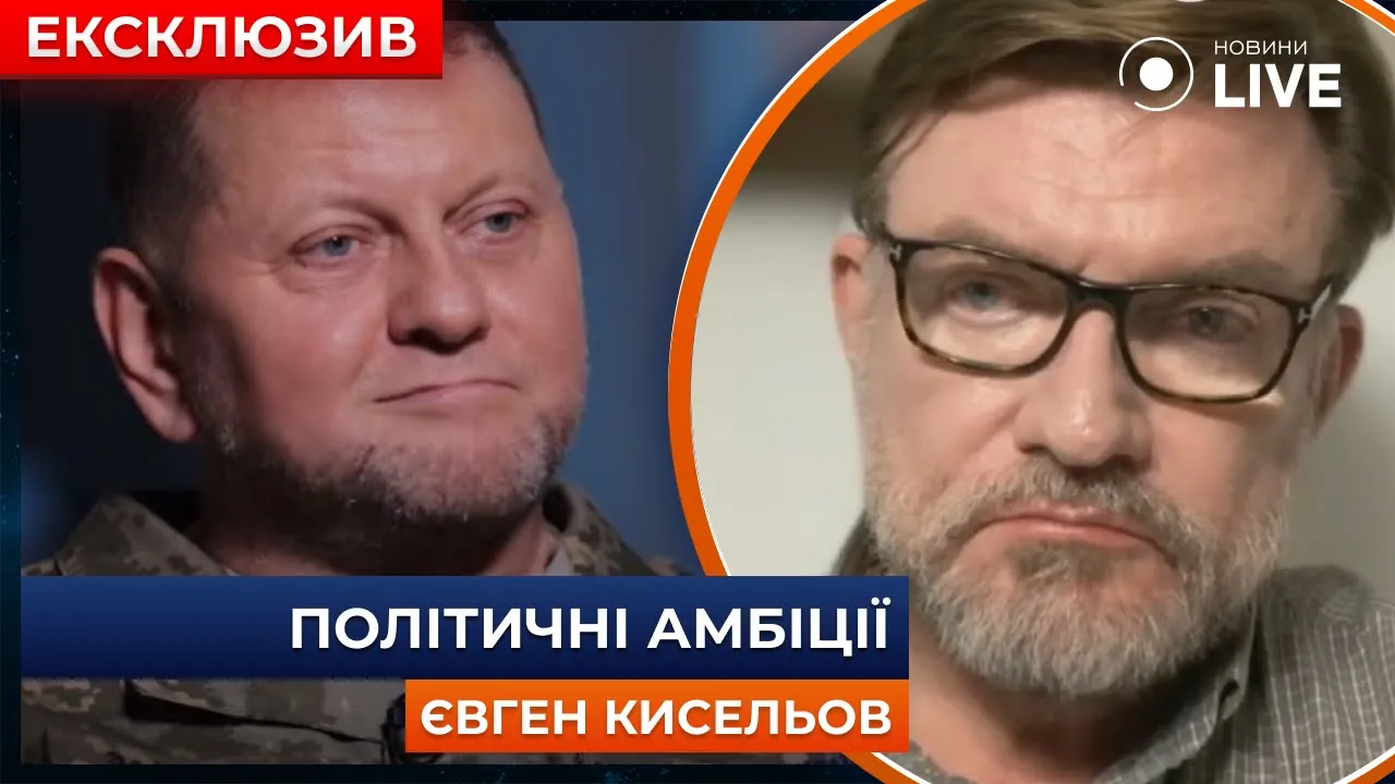 Чи піде Залужний у політику в разі відставки — відповів журналіст