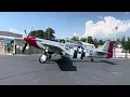 Craig Hutain P 51 Mustang