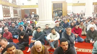 أنين المذنبين   كمناجاة الطائعين   الشيخ مصطفى الحاروني دندنها