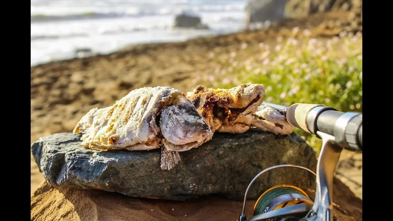 Catch and cook surfperch with Bay and Beyond Fishing