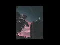 cihan mürtezaoğlu - hangi yol (cover)