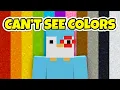 Download Lagu Minecraft, But If I See Colors The Video Ends Compilation