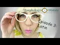 Morphology Minute Episode 3