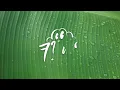 Angela Ken - Ako Naman Muna (Lyrics)
