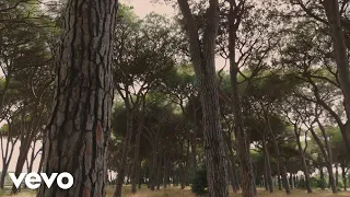 Ludovico Einaudi Sequence 