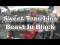 Download Lagu SWEET TRUE LIES - BEAST IN BLACK - full guitar cover and solo