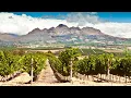 Private Wine Tasting Tour from Cape Town South Africa
