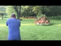 Starting a fire with Dragon s Breath shotgun rounds
