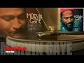 Marvin Gaye / Hitch Hike [Vinyl Source]