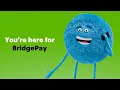 Payment Flexibility with Cricket Wireless What to know about BridgePay