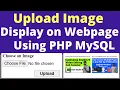 How To Image to MySQL Database Display It On Webpage Website Using PHP MySQL Bangla