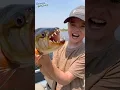TIGER FISH Fishing near Crocodiles and Hippos in Africa - River Wilder Show
