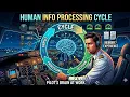 Human Information Processing