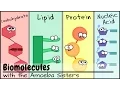 Biomolecules Older 2016